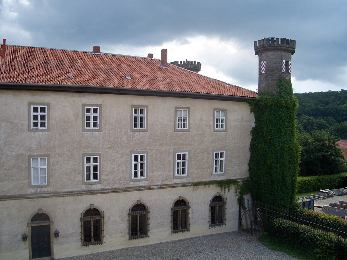 Blick auf Schloss mit von Ranken überwucherten Turm.