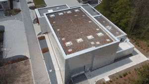 Eulerbau2.gif