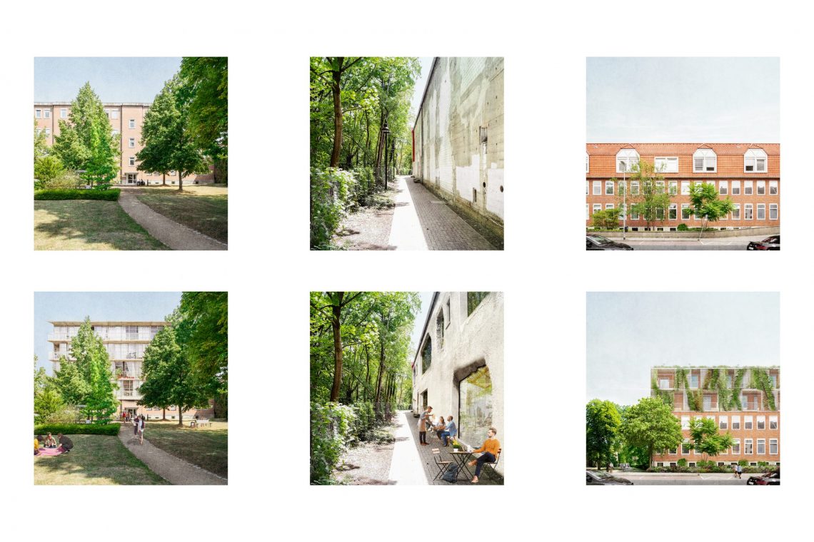 Holwedestraße Braunschweig  Collage